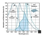 Optimizing Live Cell Imaging with FRET Microscopy