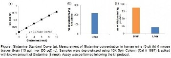 BioVision Glutamine Colorimetric Assay Kit