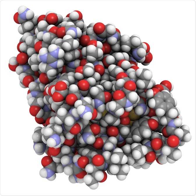 Nanobody Nanobody