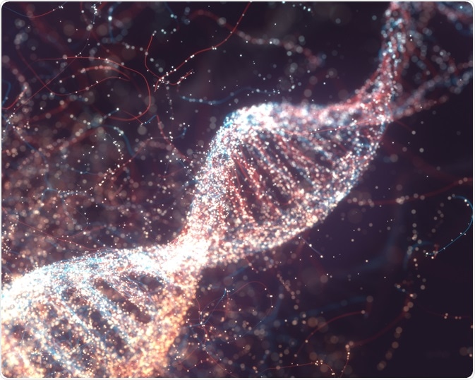 DNA molecule