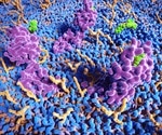Sex Differences in Cannabinoid Action