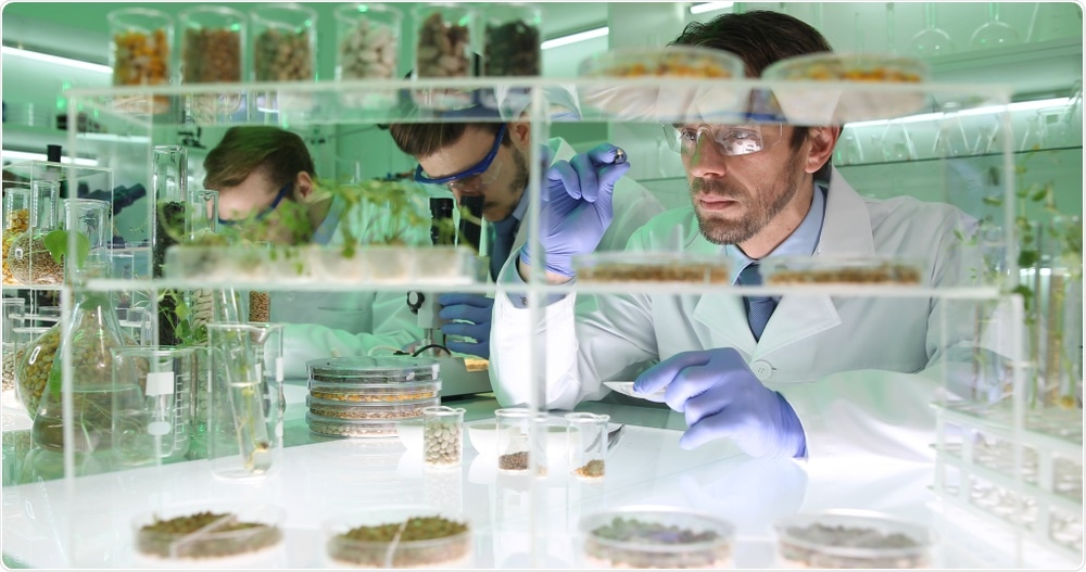 Plant Genetic Modification Plant Genetic Modification
