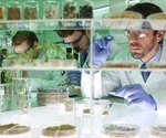 An analysis of the effects GM crops have on agriculture