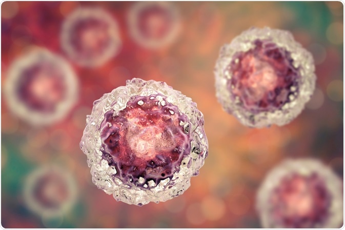 Stem Cells Stem Cells