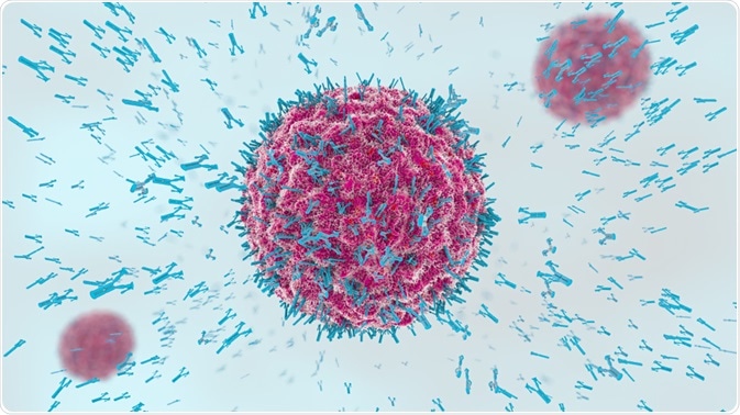 Antibodies Antibodies