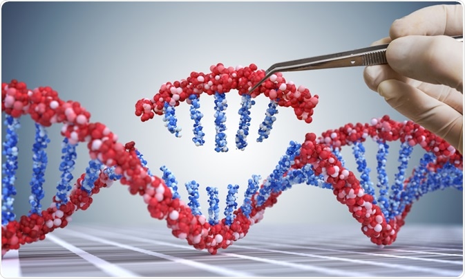 Genetic Manipulation Genetic Manipulation