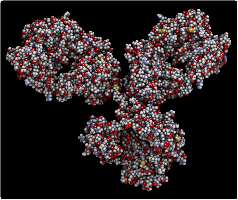 Immunoglobulin Immunoglobulin