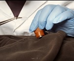 Uses of Microscopy in Forensics
