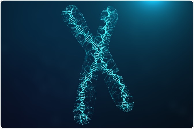 Artificial Chromosome Artificial Chromosome