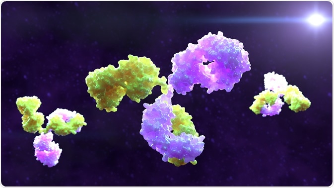 Monoclonal Antibodies Monoclonal Antibodies