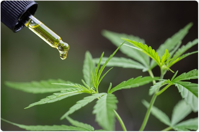 Cannabis Oil Cannabis Oil