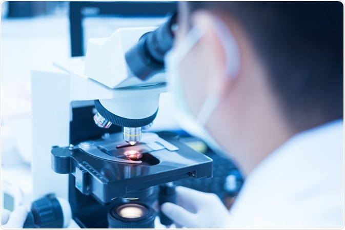 Microscope Microscope