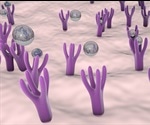 What are Peptide Decoys?
