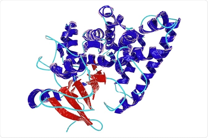 Enzyme in Biosynthesis Enzyme in Biosynthesis