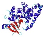 Exploring Biosynthetic Diversity