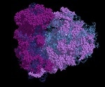 Protein Degradability