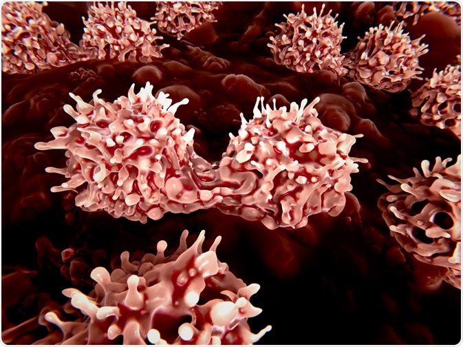 Stem Cells in Bone Marrow