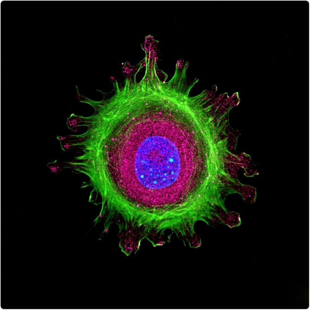 Single Isolated Cell Single Isolated Cell
