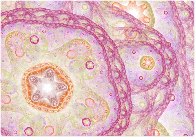 Biological Cell