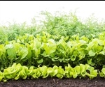 Determining Nitrogen Levels in Soil