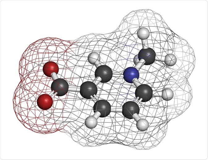 Metabolite Metabolite