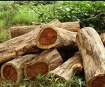 Why is Rosewood so Expensive?