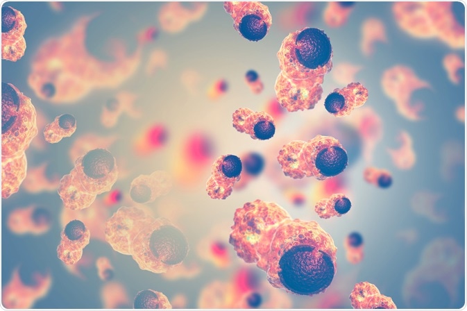 Cancer Cells Cancer Cells
