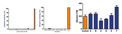 (A and B) Commercial glycine detection kit results showing that metabolites and other amino acids do not interfere with glycine detection. (C) The assay used for research demonstrating a decrease of glycine in patients suffering depression and schizophrenia and increased concentration of glycine in Alzheimer’s disease patients. Glycine concentration was evaluated using an in vitro commercial glycine assay kit in human serum samples from patients diagnosed with various neuropsychiatric conditions. Control: Control; A: Multiple Sclerosis; B: Parkinson’s Disease; C: Major Depression; D: Schizophrenia; E: Amyotrophic Lateral Sclerosis; F: Alzheimer’s Disease. All patients were male Caucasian and age ranges from 53 to 60 years old.