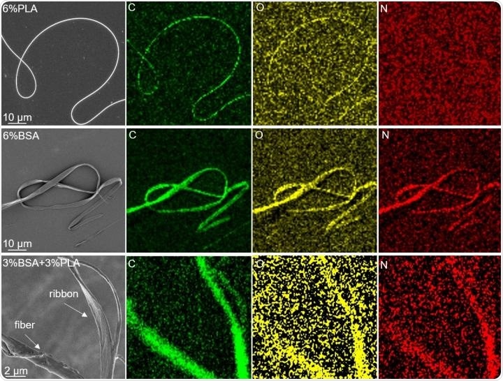 Study demonstrates ability of blended electrospun mat to gradually release protein
