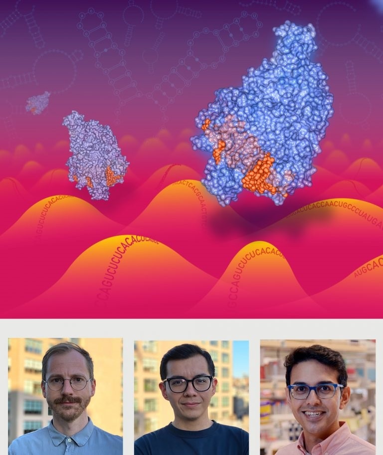 New CRISPR technology helps massively parallel targeting of thousands of genes