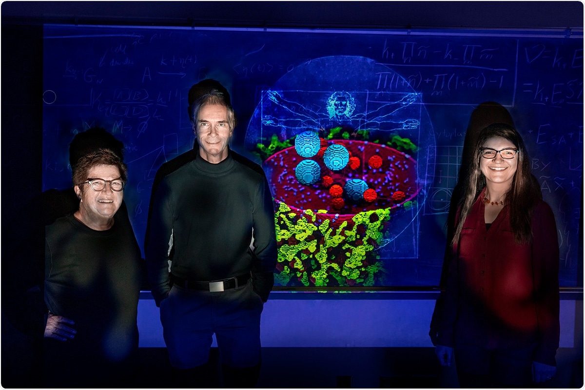 Simulations reveal effects of spatial organization within cells on genetic processes