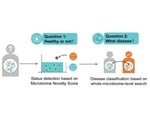 Detecting and classifying disease using the microbiome