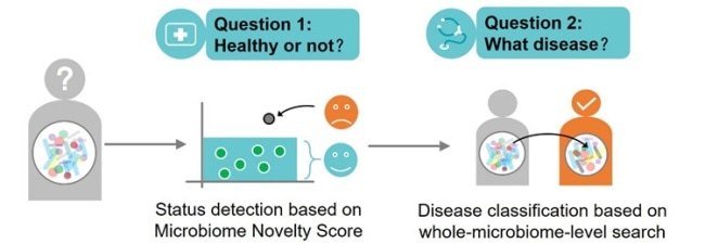 Using microbiome search to detect and classify multiple diseases across cohorts