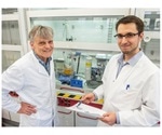 Study shows cellular protein shredders can help combat cancer