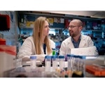 Epigenetic controls of T cells can help treat Type 1 diabetes