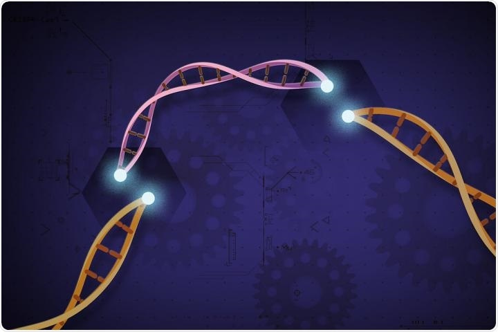 Study reports first-ever application of CRISPR-Cas12b system in plant genome engineering