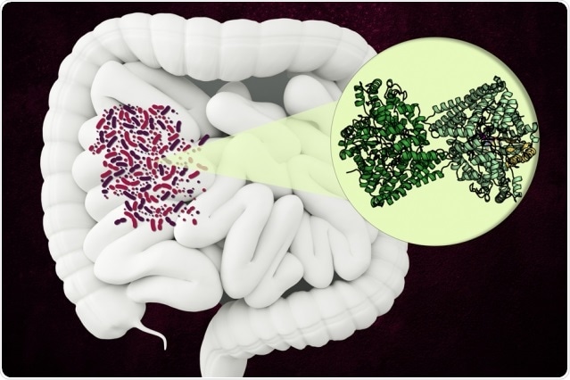 Study discovers structure of bacterial enzyme that breaks down amino acid found in collagen Study discovers structure of bacterial enzyme that breaks down amino acid found in collagen