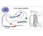 New chromosome-level detectors developed to monitor cellular activity