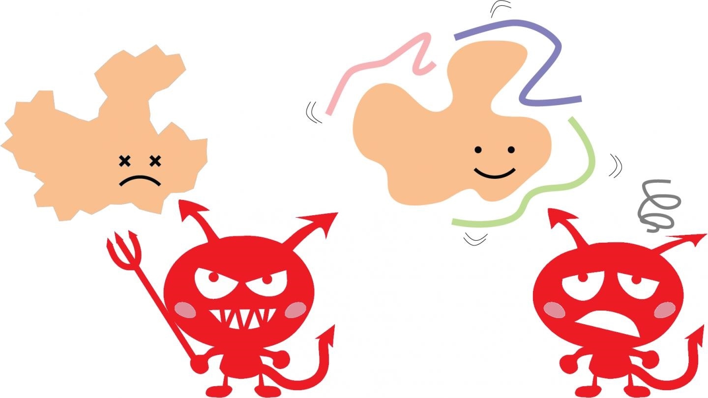Hero proteins can prevent dangerous clumps linked with neurodegenerative diseases