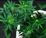 Study finds large gaps in the scientific knowledge of cannabis genome