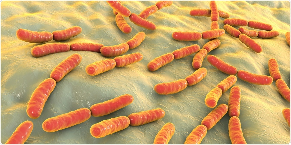 Bacteria Bacteria