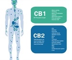 Comparison of Receptor Pharmacology in Cannabinoids