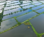 Fish Hatcheries- Benefits and Drawbacks