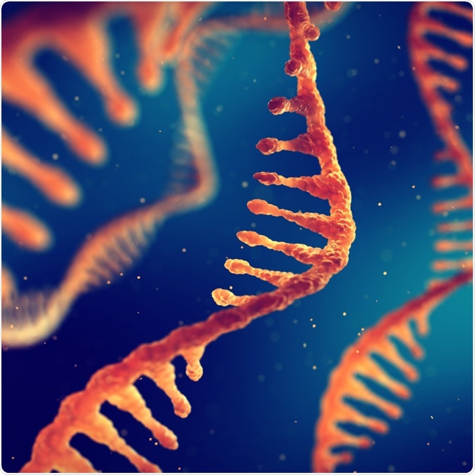 RNA RNA