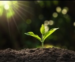 A Guide to Plant Hormones