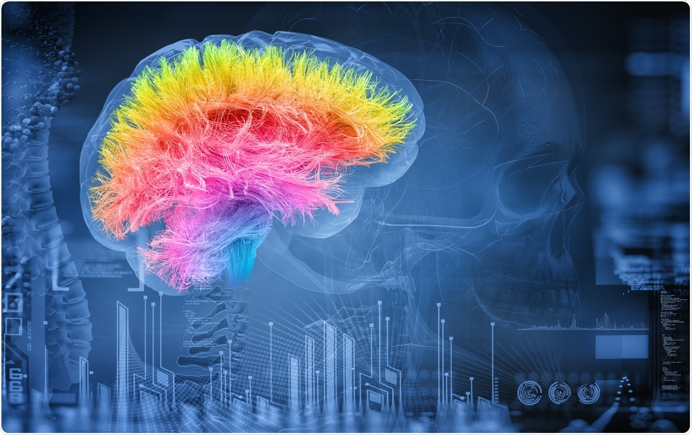 Brain Concept Brain Concept