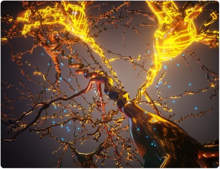 Genetically manipulating cells using synthetic materials to construct artificial structures Genetically manipulating cells using synthetic materials to construct artificial structures