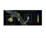 Study identifies that the JNK protein is a stress sensor in synapses