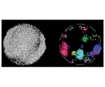 Protein interaction study could shed light on the mechanism behind various diseases
