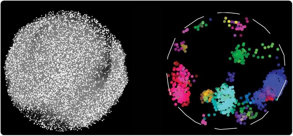 Protein interaction study could shed light on the mechanism behind various diseases